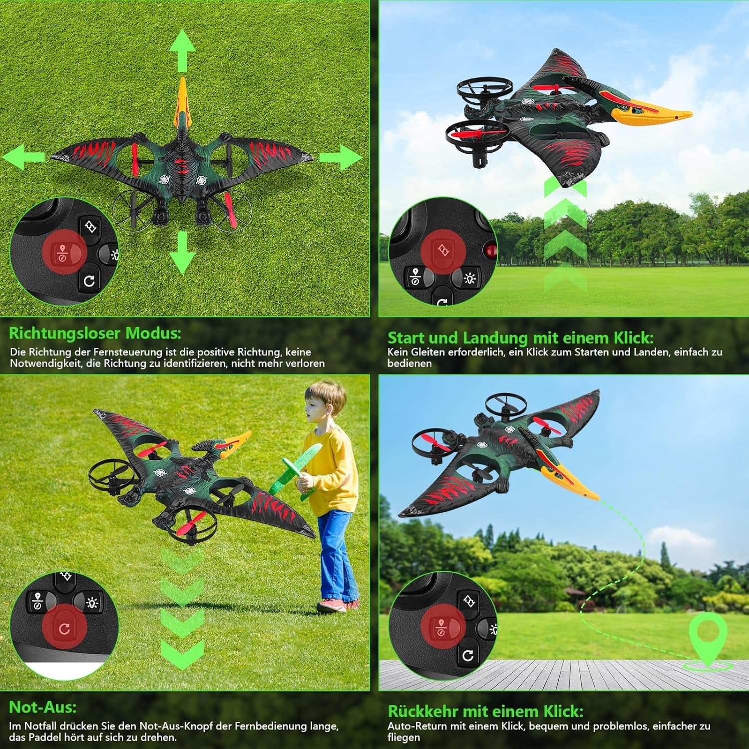 Dragon Remote Controlled Aeroplan L0713